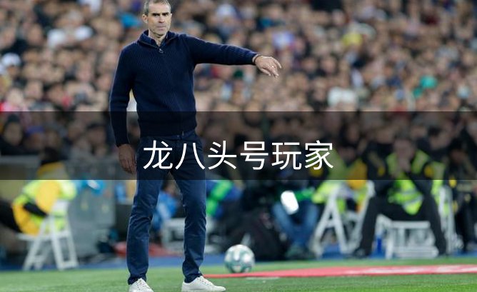 龙八头号玩家简介